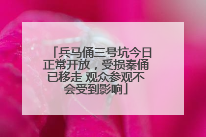 兵马俑三号坑今日正常开放，受损秦俑已移走 观众参观不会受到影响