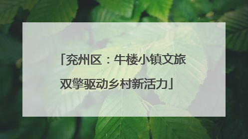 兖州区：牛楼小镇文旅双擎驱动乡村新活力