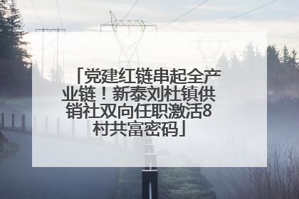 党建红链串起全产业链！新泰刘杜镇供销社双向任职激活8村共富密码