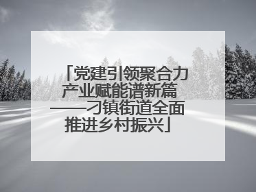 党建引领聚合力 产业赋能谱新篇——刁镇街道全面推进乡村振兴