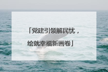 党建引领解民忧，绘就幸福新画卷
