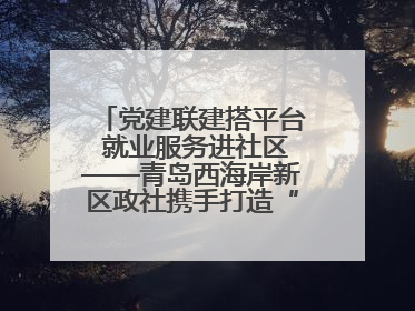 党建联建搭平台 就业服务进社区——青岛西海岸新区政社携手打造“零工之家”就业服务新阵地