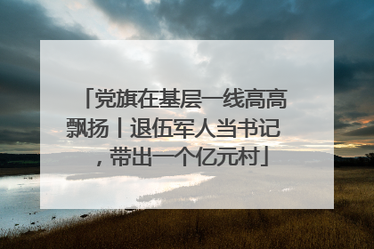 党旗在基层一线高高飘扬丨退伍军人当书记，带出一个亿元村