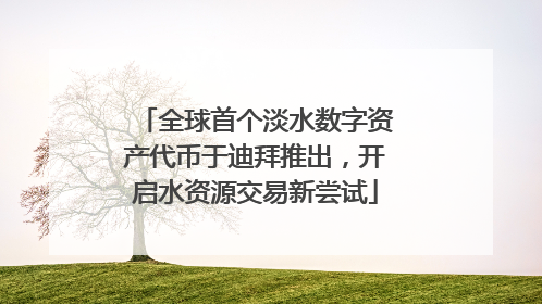 全球首个淡水数字资产代币于迪拜推出，开启水资源交易新尝试