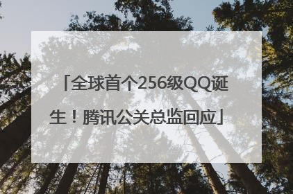 全球首个256级QQ诞生！腾讯公关总监回应