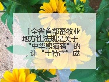 全省首部畜牧业地方性法规是关于“中华熊猫猪”的，让“土特产”成为“新国潮”，让“农产品”升格为“城市IP”