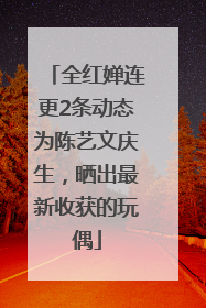 全红婵连更2条动态为陈艺文庆生，晒出最新收获的玩偶