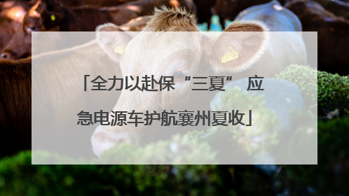 全力以赴保“三夏” 应急电源车护航襄州夏收