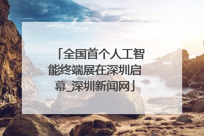 全国首个人工智能终端展在深圳启幕_深圳新闻网