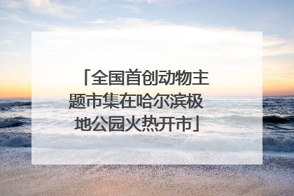 全国首创动物主题市集在哈尔滨极地公园火热开市