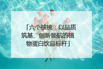 六个核桃：以品质筑基、创新领航的植物蛋白饮品标杆