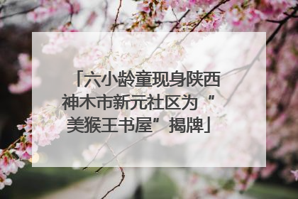 六小龄童现身陕西神木市新元社区为“美猴王书屋”揭牌