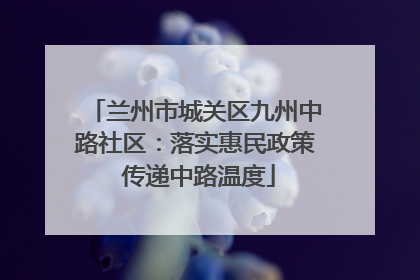 兰州市城关区九州中路社区：落实惠民政策 传递中路温度