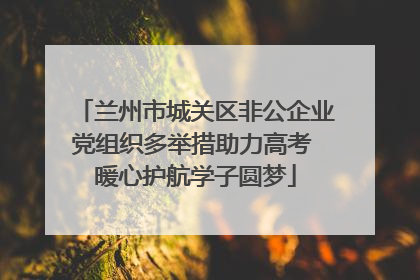兰州市城关区非公企业党组织多举措助力高考 暖心护航学子圆梦