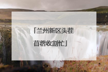 兰州新区头茬苜蓿收割忙