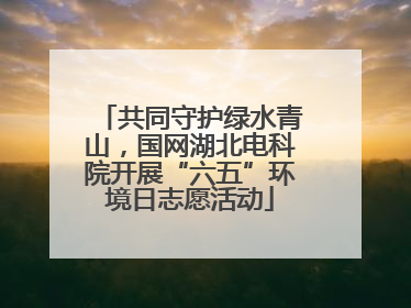 共同守护绿水青山，国网湖北电科院开展“六五”环境日志愿活动
