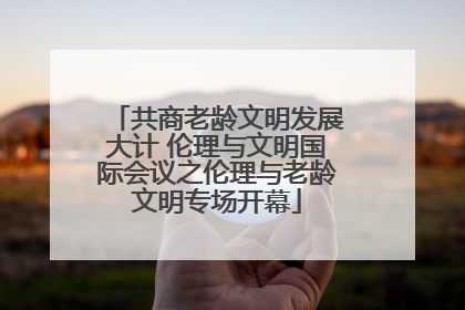 共商老龄文明发展大计 伦理与文明国际会议之伦理与老龄文明专场开幕