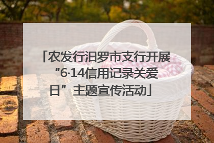 农发行汨罗市支行开展“6·14信用记录关爱日”主题宣传活动