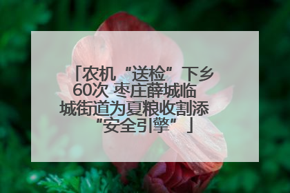 农机“送检”下乡60次 枣庄薛城临城街道为夏粮收割添“安全引擎”
