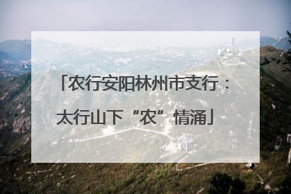 农行安阳林州市支行：太行山下“农”情涌
