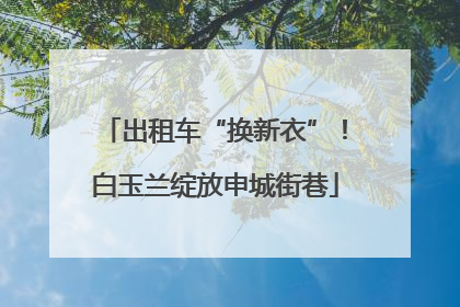 出租车“换新衣”！白玉兰绽放申城街巷