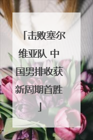 击败塞尔维亚队 中国男排收获新周期首胜