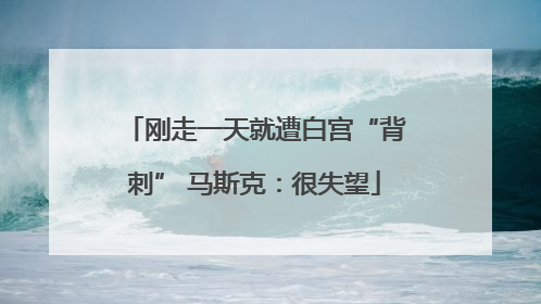 刚走一天就遭白宫“背刺” 马斯克：很失望