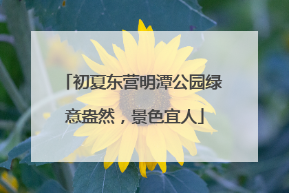 初夏东营明潭公园绿意盎然，景色宜人