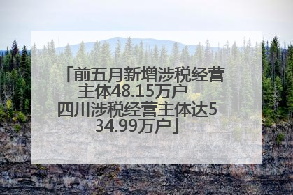 前五月新增涉税经营主体48.15万户 四川涉税经营主体达534.99万户