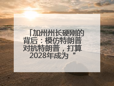 加州州长硬刚的背后：模仿特朗普对抗特朗普，打算2028年成为“特朗普”