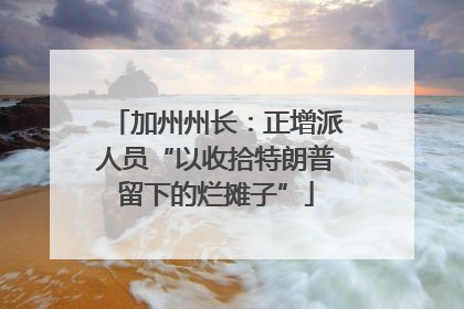 加州州长：正增派人员“以收拾特朗普留下的烂摊子”