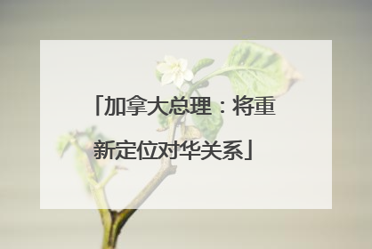 加拿大总理：将重新定位对华关系