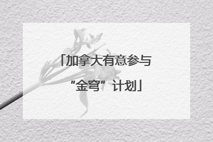 加拿大有意参与“金穹”计划