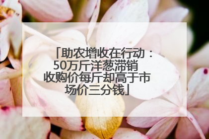 助农增收在行动：50万斤洋葱滞销 收购价每斤却高于市场价三分钱