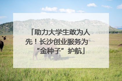 助力大学生敢为人先！长沙创业服务为“金种子”护航