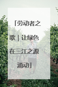 劳动者之歌｜让绿色在三江之源涌动