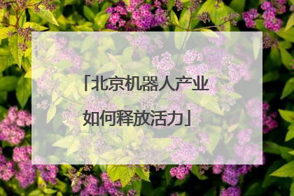北京机器人产业如何释放活力