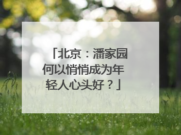 北京：潘家园何以悄悄成为年轻人心头好？