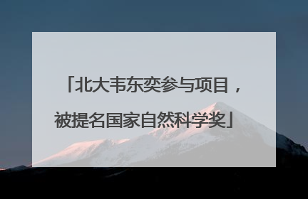 北大韦东奕参与项目，被提名国家自然科学奖