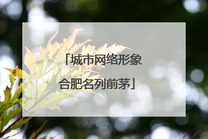 城市网络形象合肥名列前茅