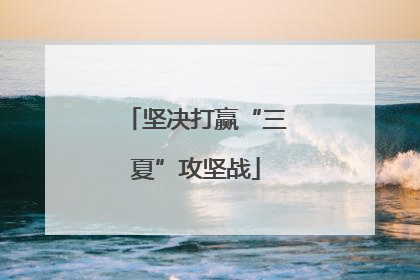 坚决打赢“三夏”攻坚战
