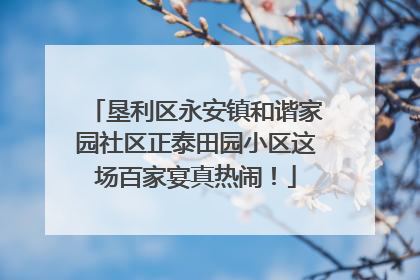 垦利区永安镇和谐家园社区正泰田园小区这场百家宴真热闹！