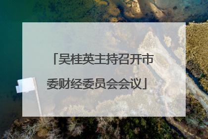 吴桂英主持召开市委财经委员会会议