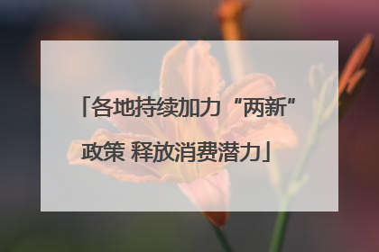 各地持续加力“两新”政策 释放消费潜力