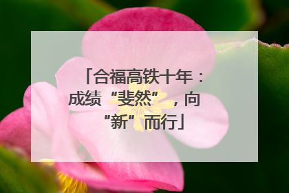 合福高铁十年：成绩“斐然”，向“新”而行