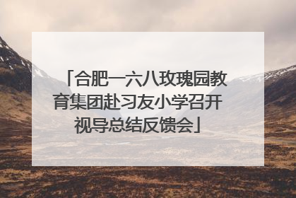 合肥一六八玫瑰园教育集团赴习友小学召开视导总结反馈会