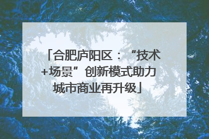 合肥庐阳区：“技术+场景”创新模式助力城市商业再升级