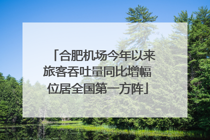 合肥机场今年以来旅客吞吐量同比增幅位居全国第一方阵