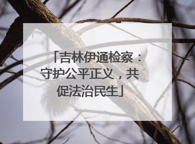 吉林伊通检察：守护公平正义，共促法治民生