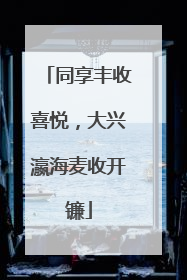 同享丰收喜悦，大兴瀛海麦收开镰
